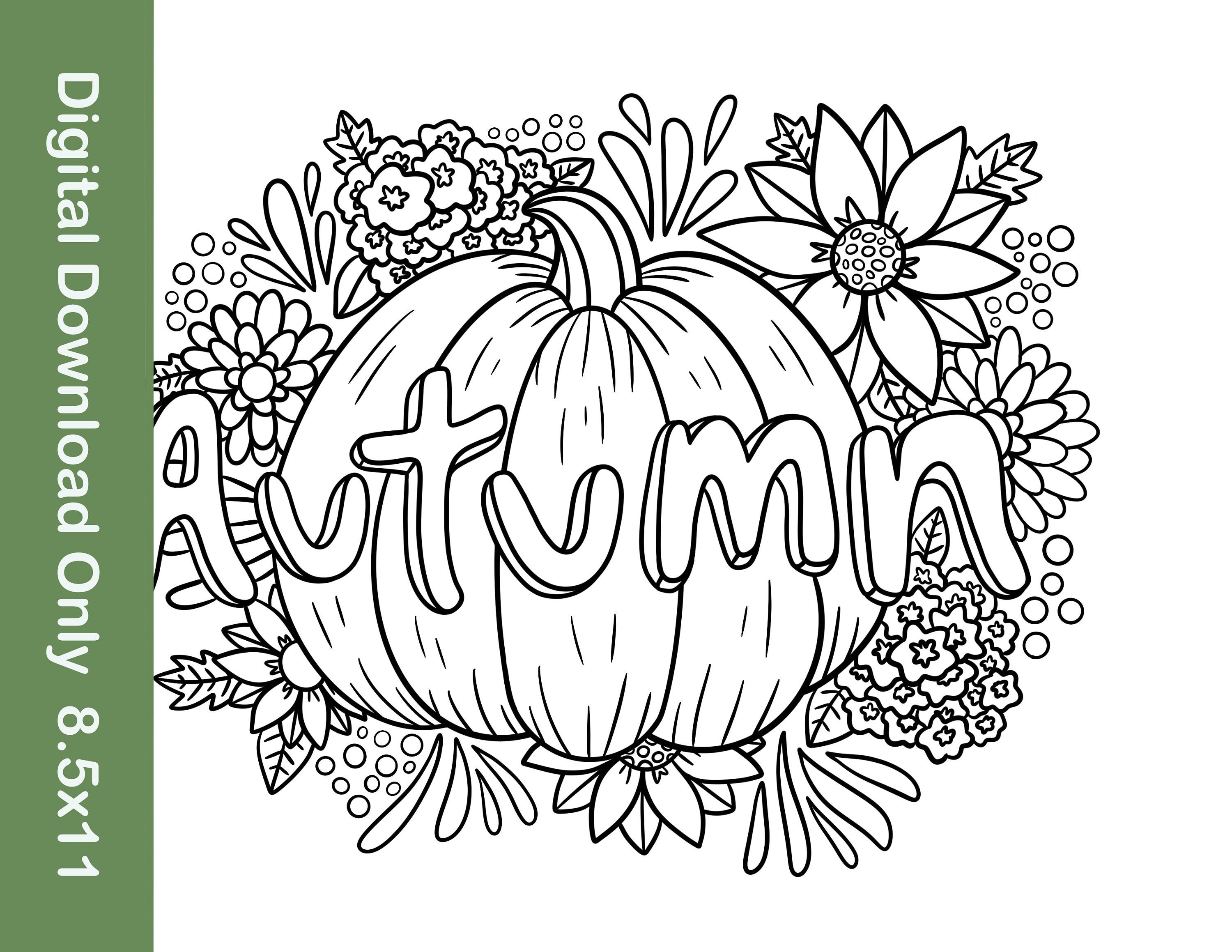 Autumn coloring page pumpkin coloring page fall coloring page flower coloring page digital download