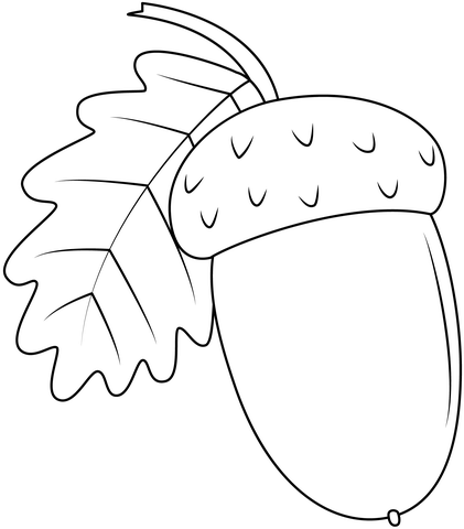 Fall coloring pages free coloring pages