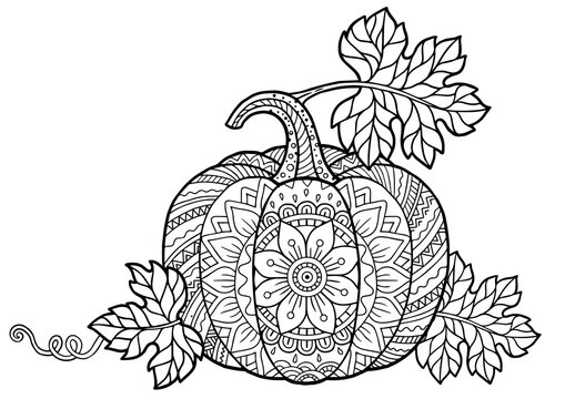 Fall coloring pages images â browse photos vectors and video