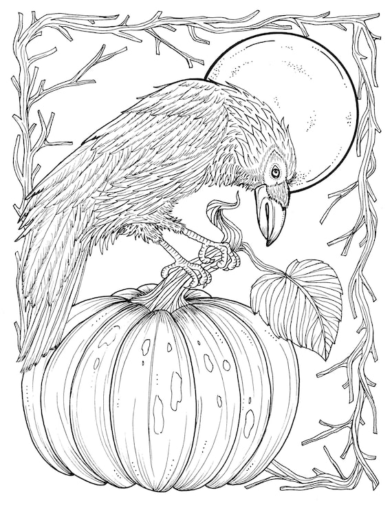 Fall crow digital coloring page thanksgiving harvest adult coloring pages digital coloring coloring book