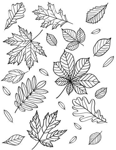 Fall and thanksgiving coloring pages