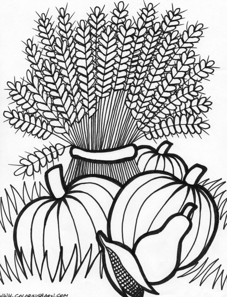 Free thanksgiving coloring pages fall coloring pages thanksgiving coloring pages free thanksgiving coloring pages