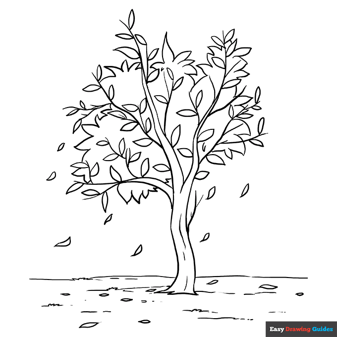 Fall tree coloring page easy drawing guides