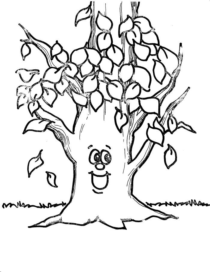 Tree leaves coloring pages tree coloring page fall coloring pages leaf coloring page