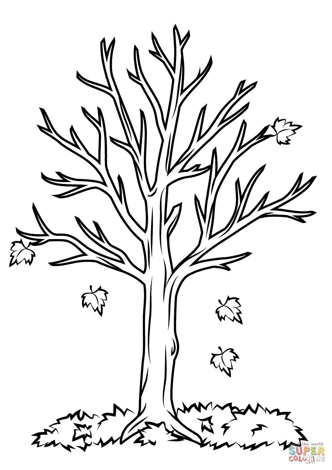 Fall coloring pages for kids fall tree coloring page free printable coloring pages