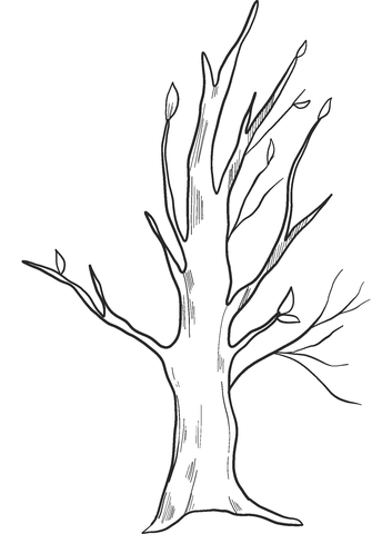 Fall tree coloring page free printable coloring pages