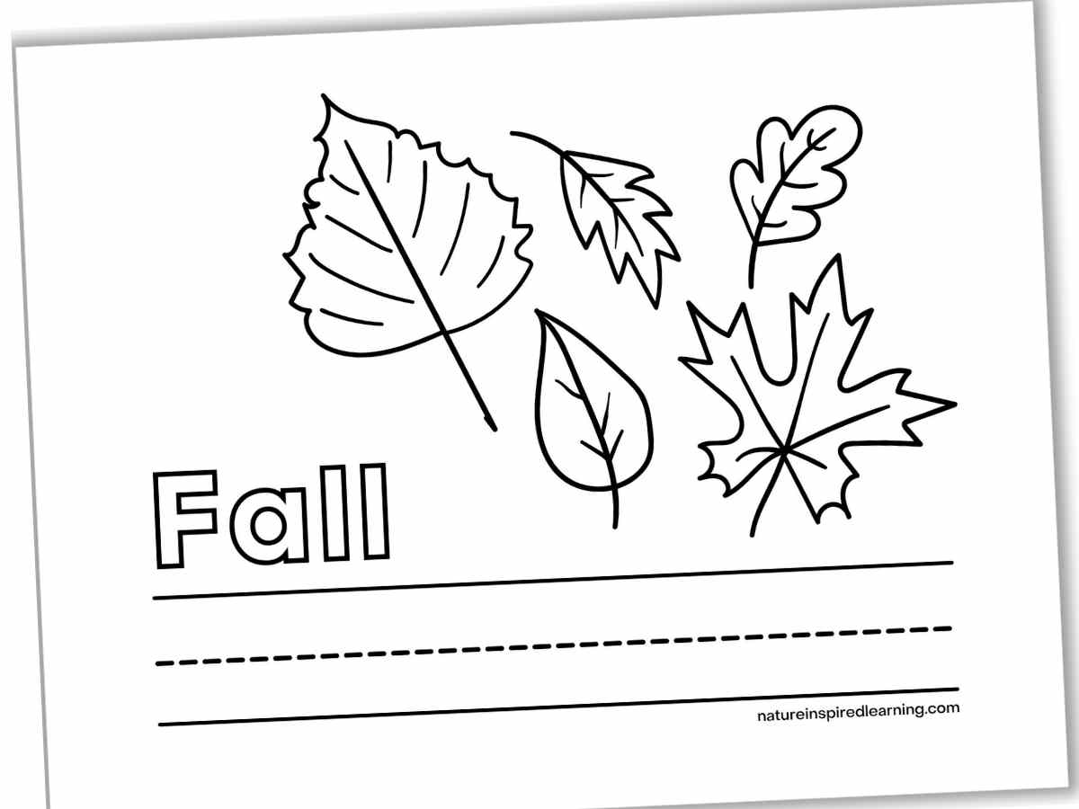 Fall coloring pages for autumn