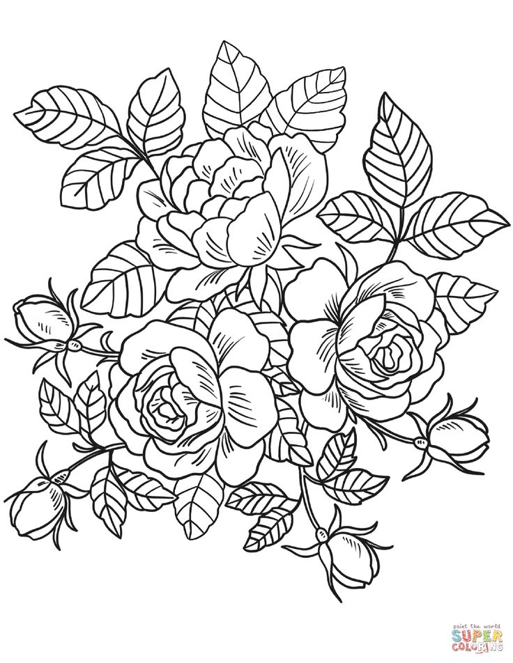 Roses flowers coloring page free printable coloring pages rose coloring pages detailed coloring pages printable flower coloring pages