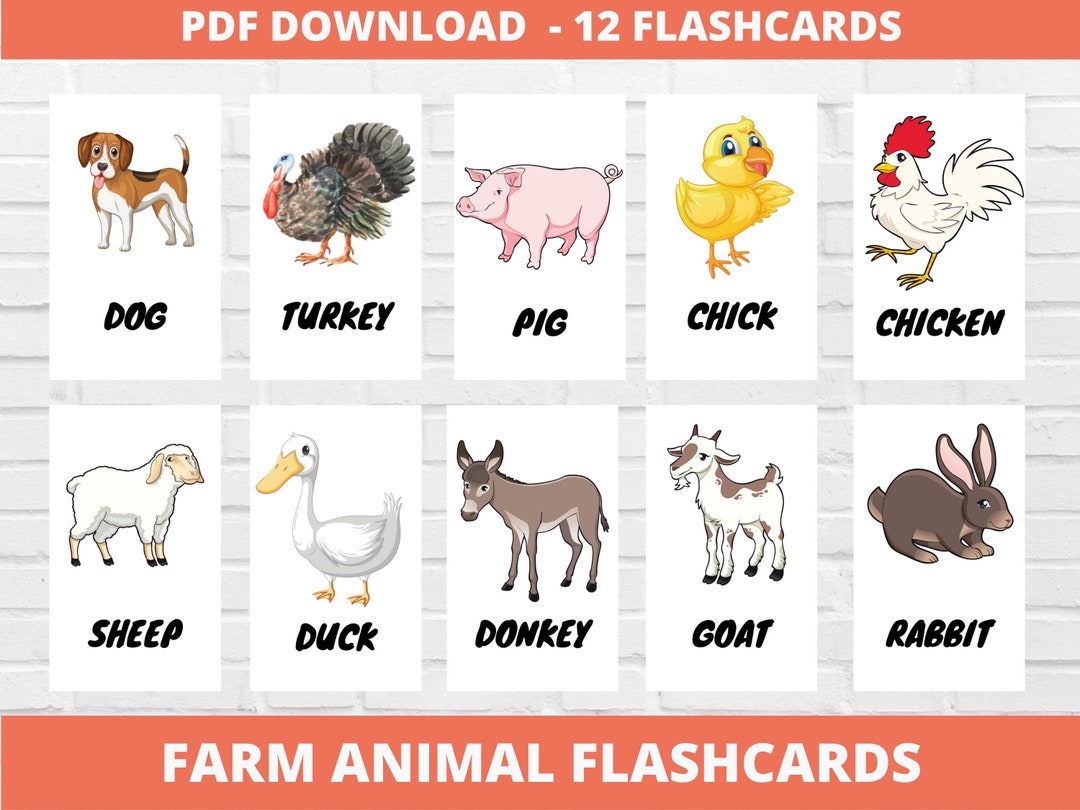 Buy farm animal flashcards kindergarten preschool printable flashcards for homeschool or classroom online in india