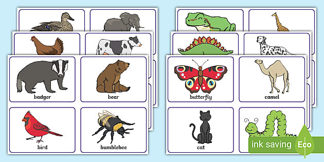 Animal picture flash cards teacher made