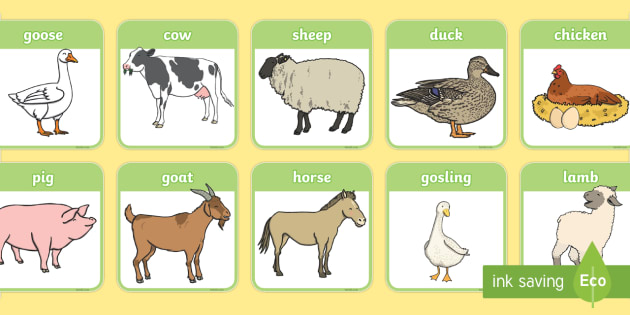 Farm animal matching cards teacher