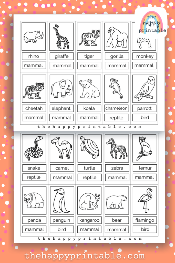 Printable zoo animal flashcards the happy printable
