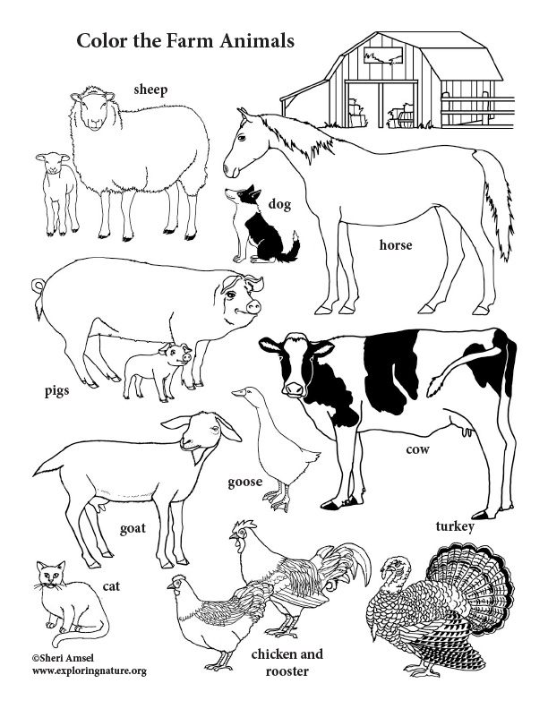 Farm animals coloring page vertical