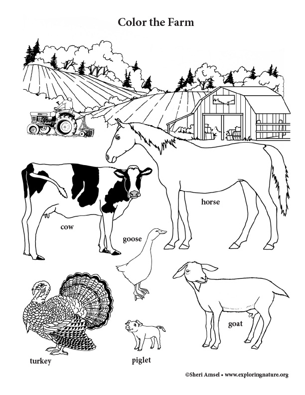 Farm coloring page