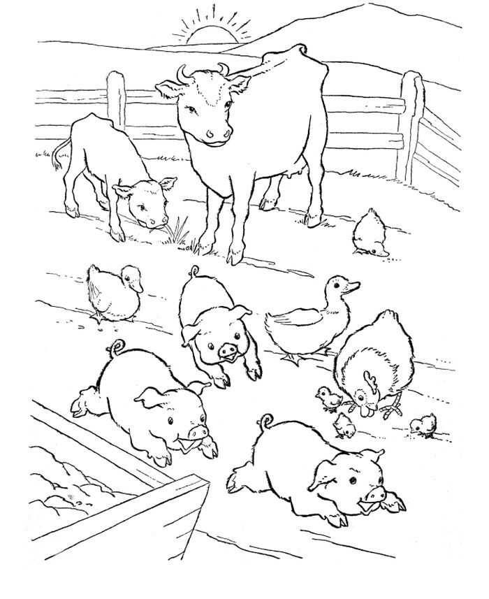 Farm animal coloring pages pdf for kids