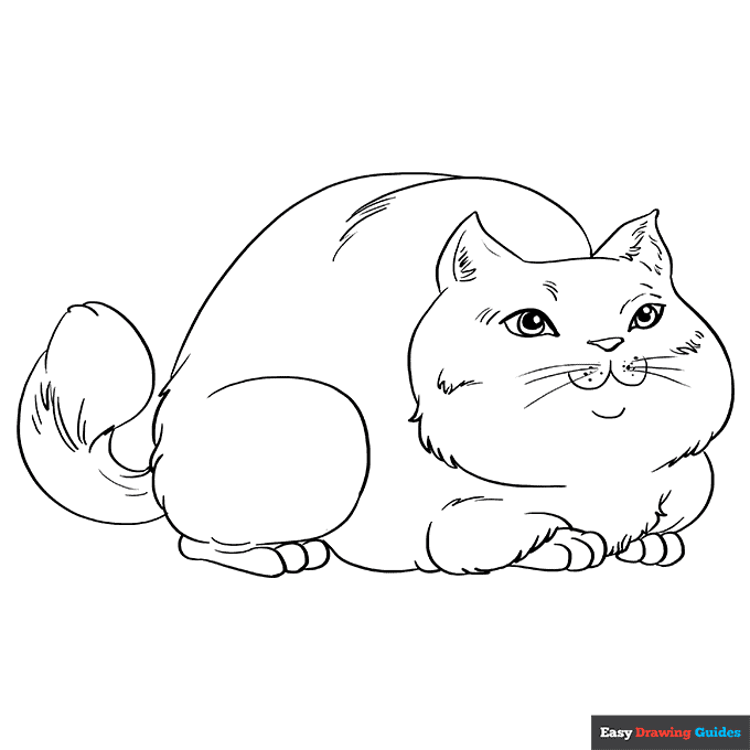 Fat cat coloring page easy drawing guides