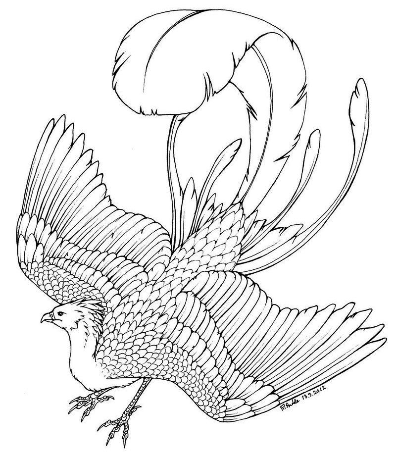 Phoenix bird coloring pages