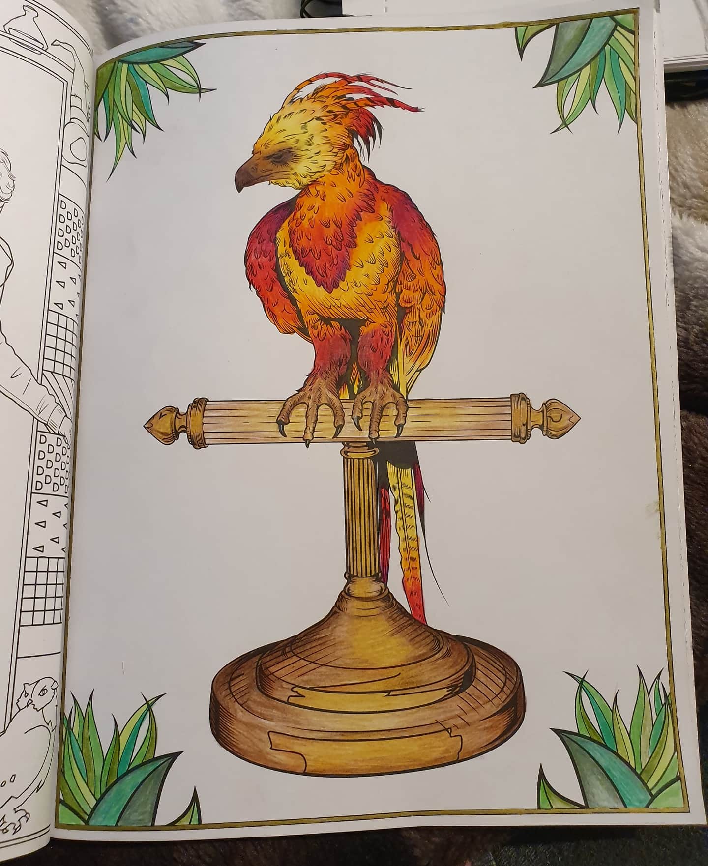 My fawkes from my harry potter colouring book rcoloring