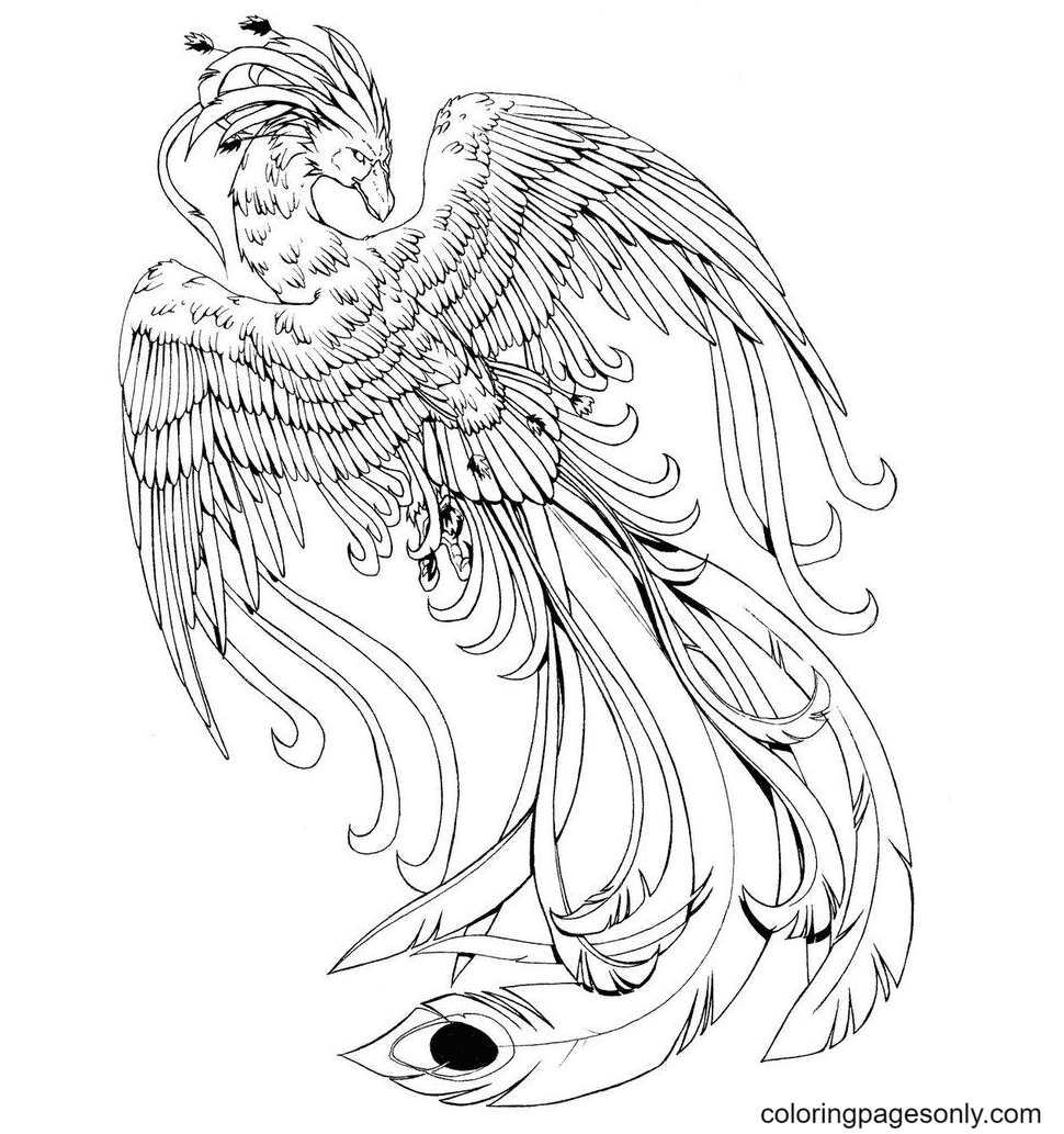 Phoenix coloring pages printable for free download