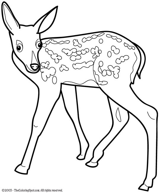 Fawn coloring page audio stories for kids free coloring pages colouring printables