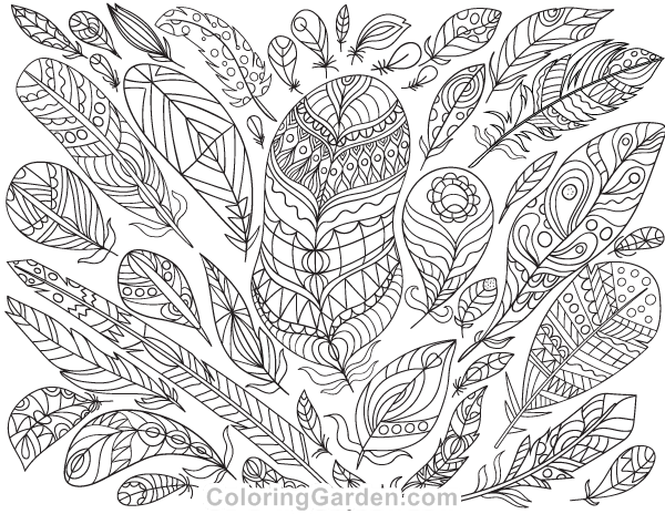 Feathers adult coloring page