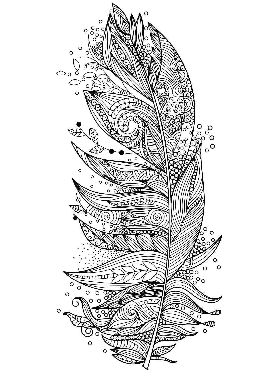 Feather coloring pages for adults