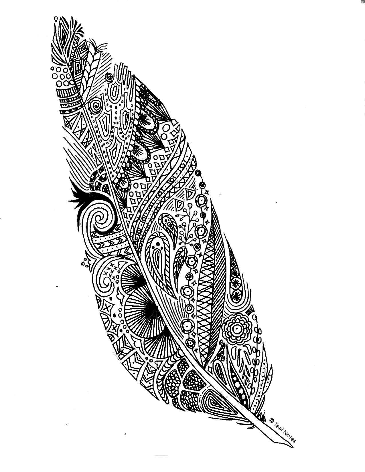 Free feather coloring page for adults and kids