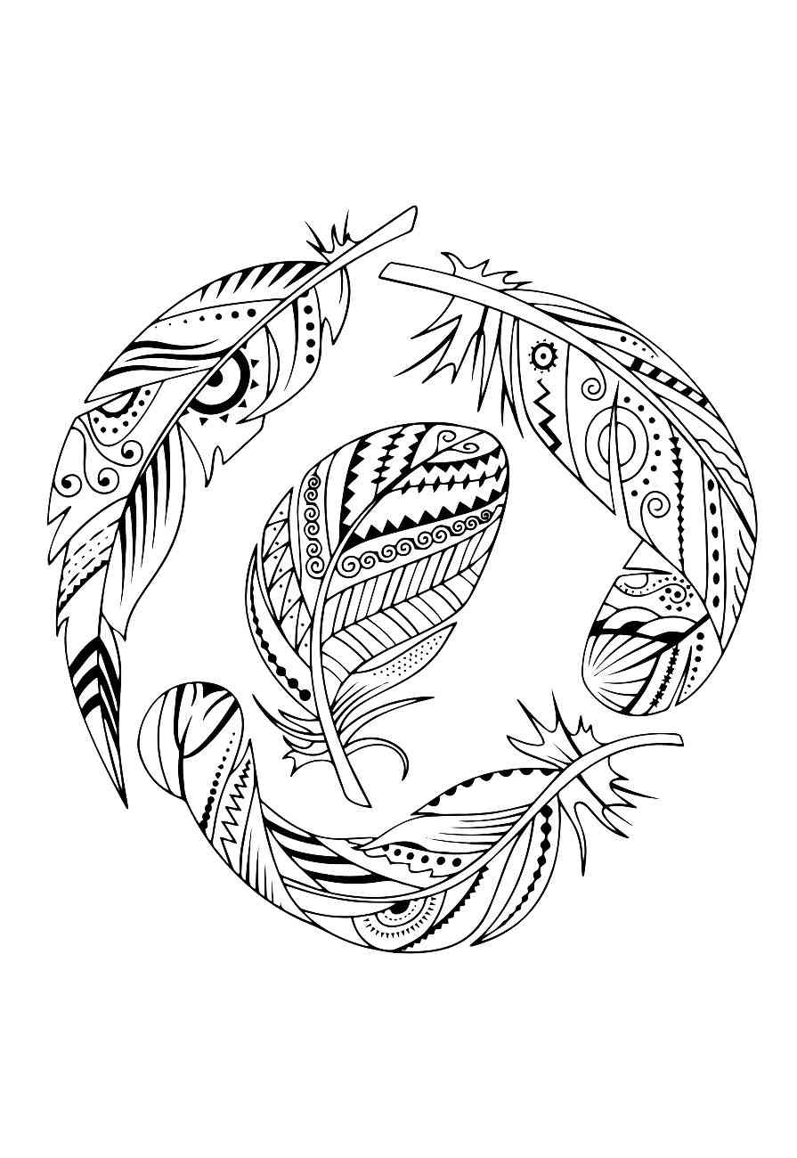 Feather coloring pages for adults