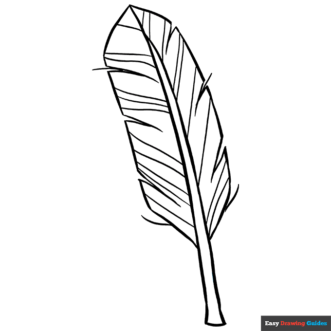 Feather coloring page easy drawing guides