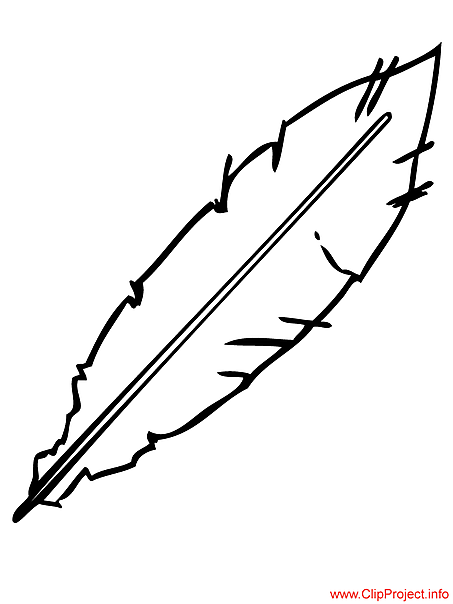 Feather image to color free feather template coloring pages feather clip art