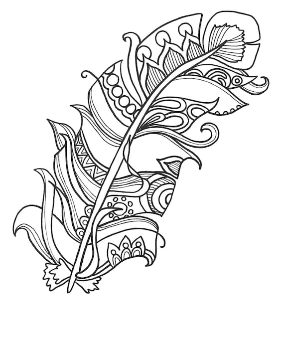 Fun and funky feather coloringpages original art coloring book for adultscoloring therapy coloring pages for adults printable