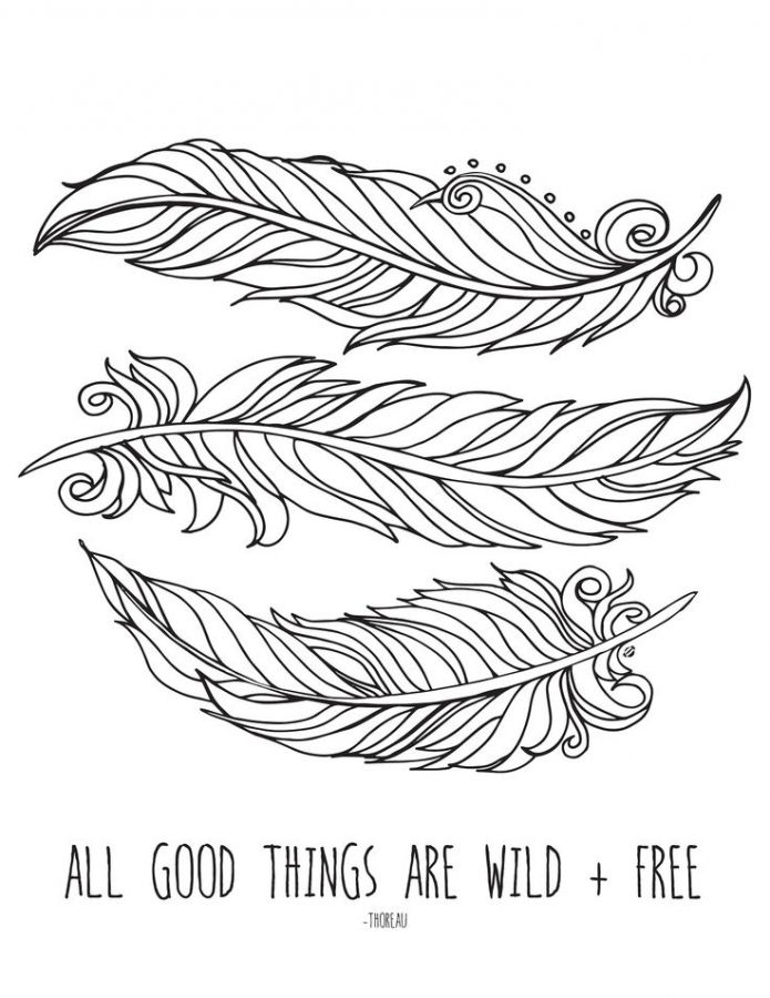 Printable feather coloring pages for tweens