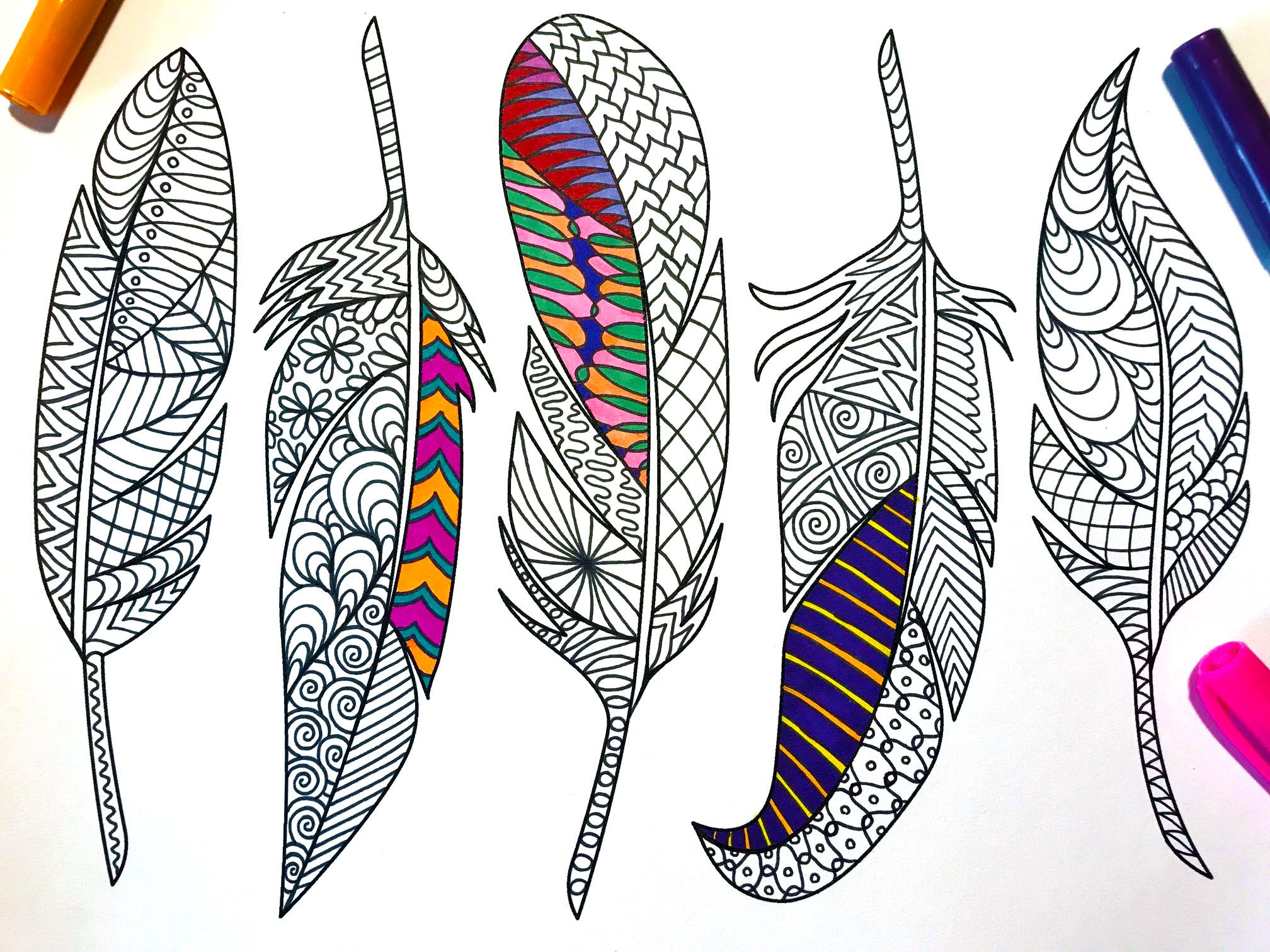 Feathers â pdf zentangle coloring page â scribble stitch