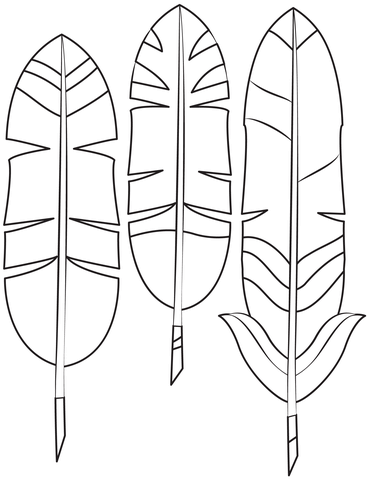 Indian feather coloring page free printable coloring pages