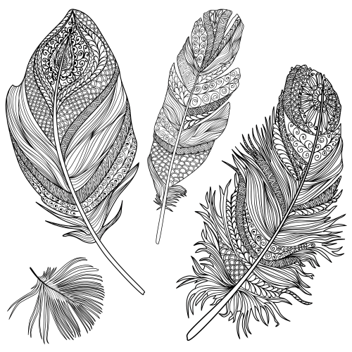 Feather coloring page