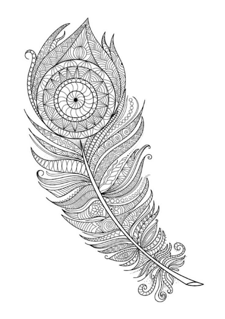 Feathers coloring page by artist anna witton adult coloring pages coloring pages cute coloring pages