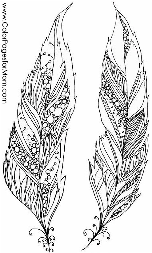 Coloring pages for adults