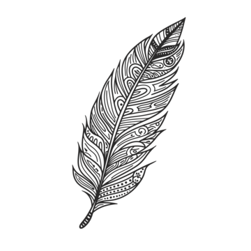 Easy feather drawing png transparent images free download vector files