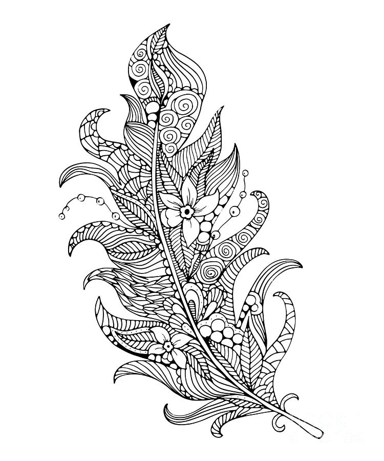 Feather coloring page by svetlana malysheva