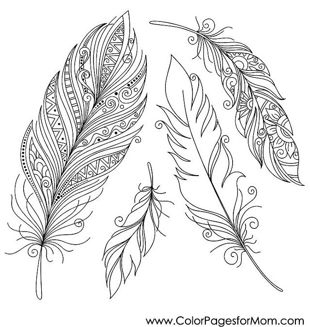 Coloring pages for adults