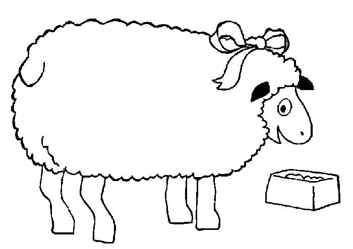 Feed my sheep bw coloring pages coloring books coloring pages for kids farm animal coloring pages