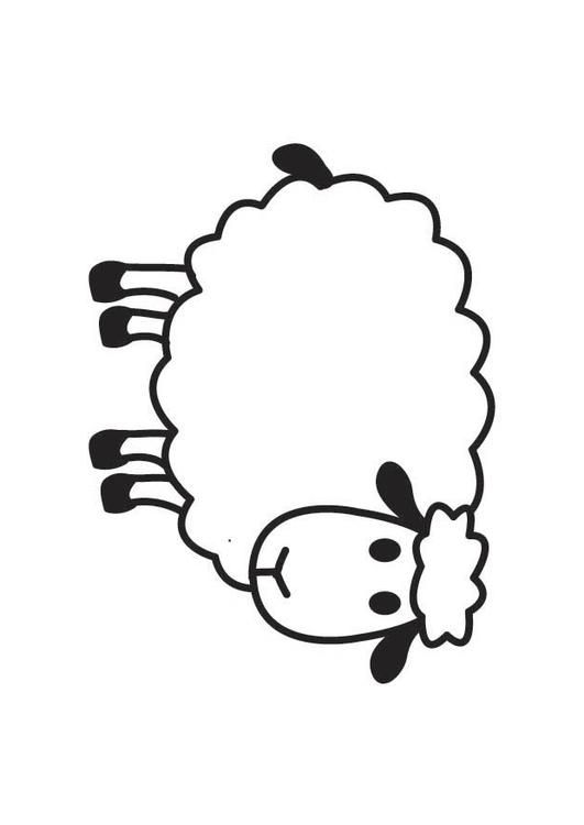 Coloring page sheep