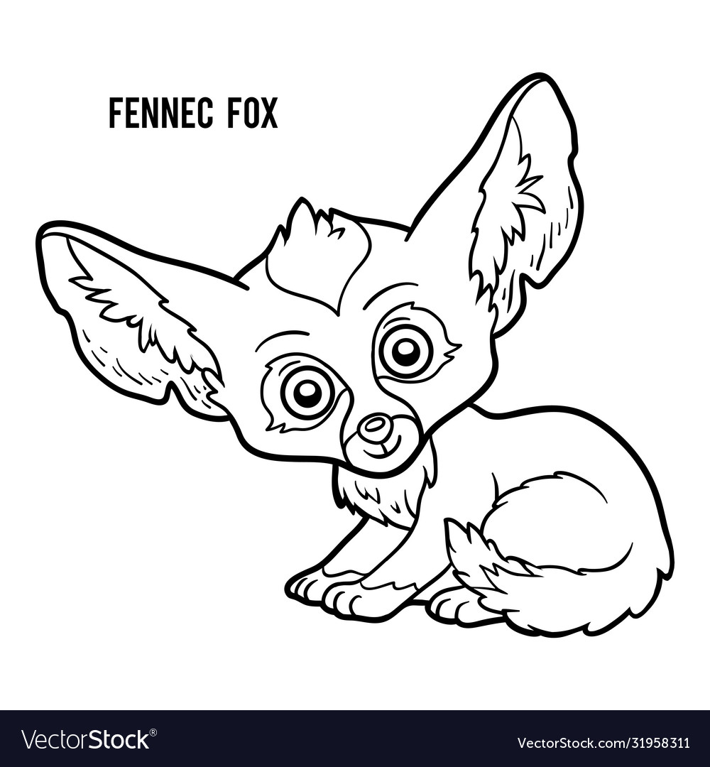 Coloring book fennec fox royalty free vector image