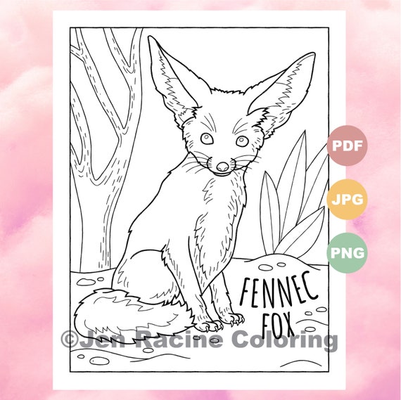 Fennec fox unmonly cute animal coloring page