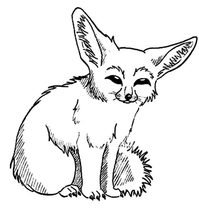 Explore beautiful fennec fox coloring pages