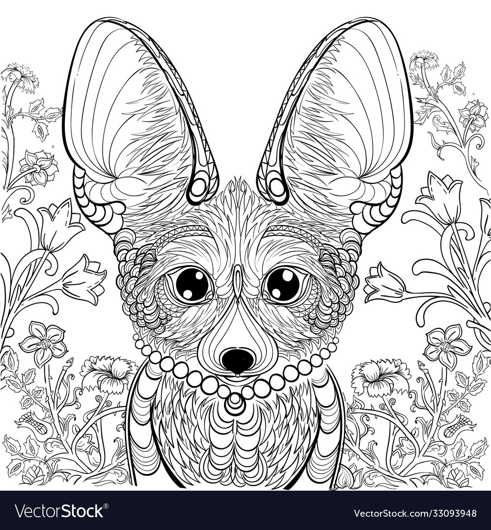 Fox fennec and floral elements for coloring book vector image