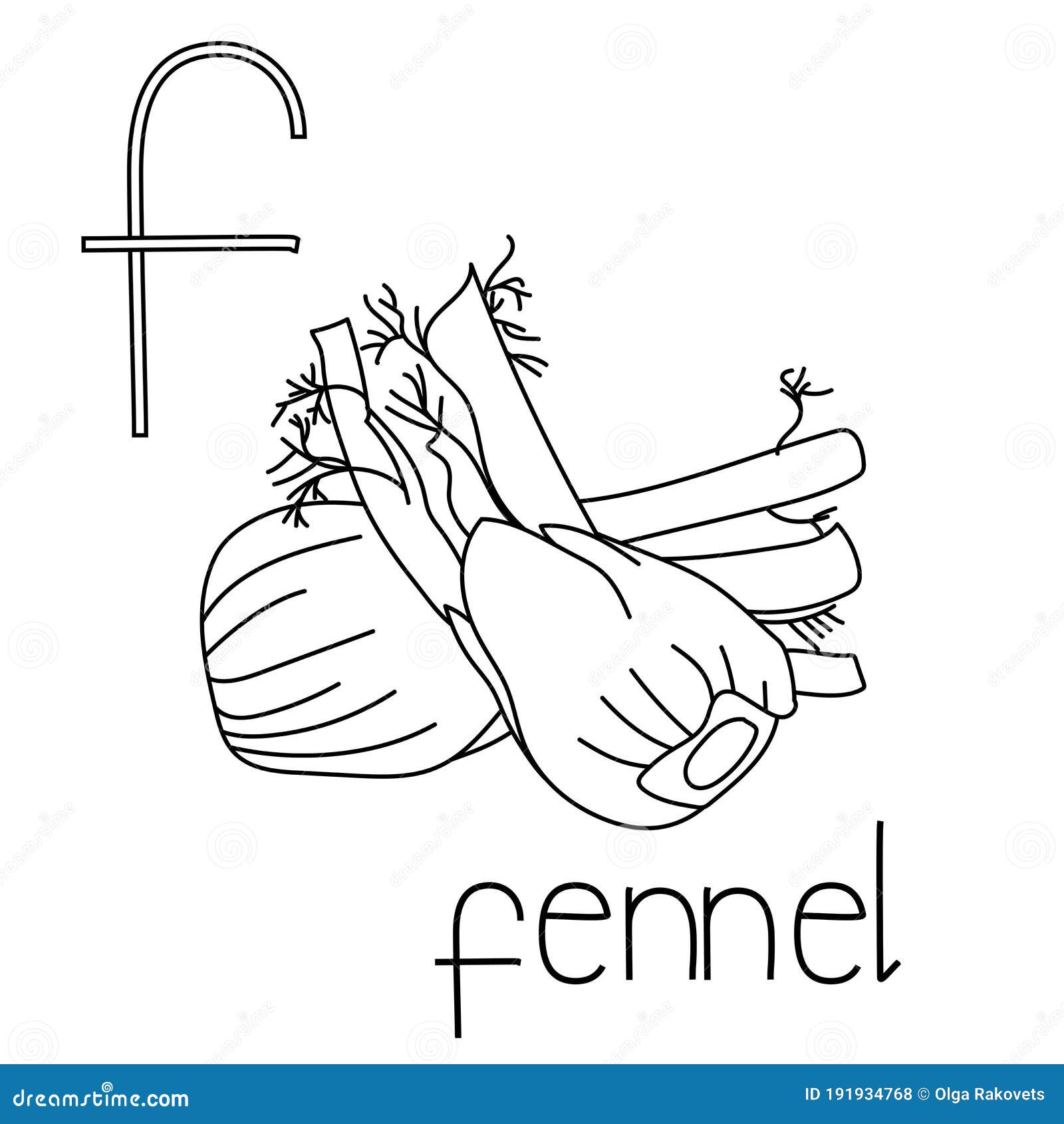 Fennel coloring stock illustrations â fennel coloring stock illustrations vectors clipart