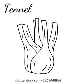 Vintage fennel sketch ink hand drawn stock vector royalty free