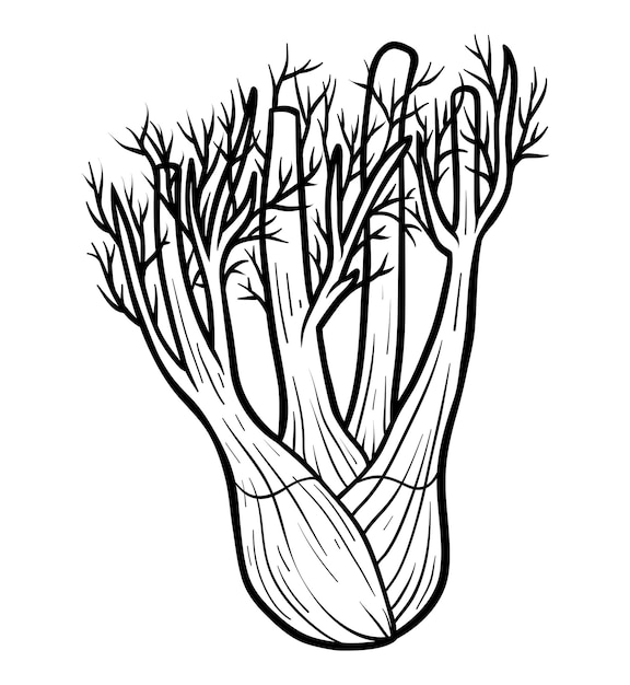 Premium vector coloring book for children fennel