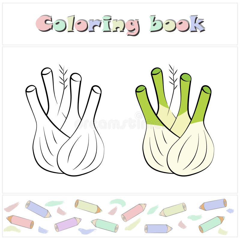 Fennel coloring stock illustrations â fennel coloring stock illustrations vectors clipart